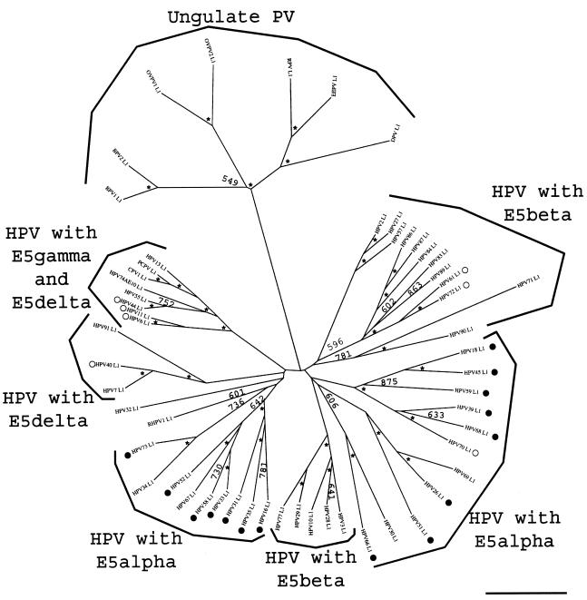 FIG. 5.