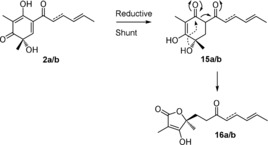 Scheme 2