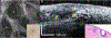 Figure 1 (A) and Figure 2 (B):