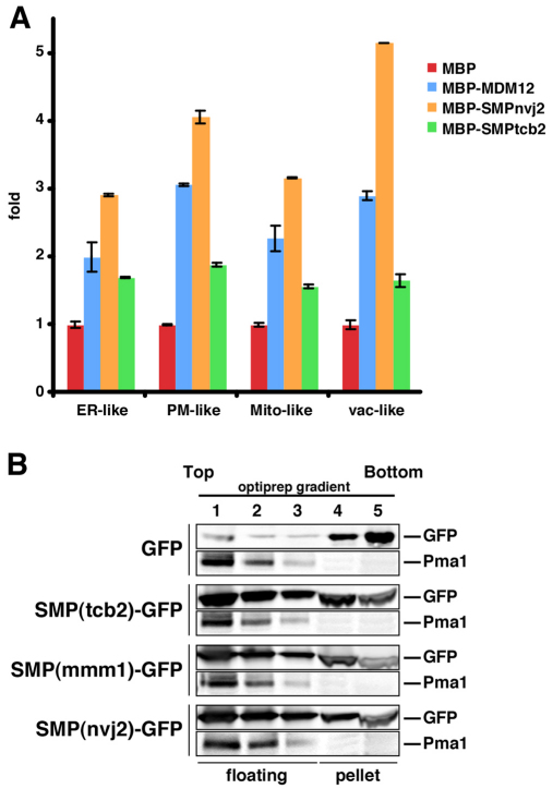 Fig. 7.