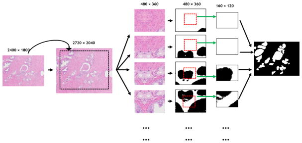 Fig. 2