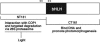 Figure 10.