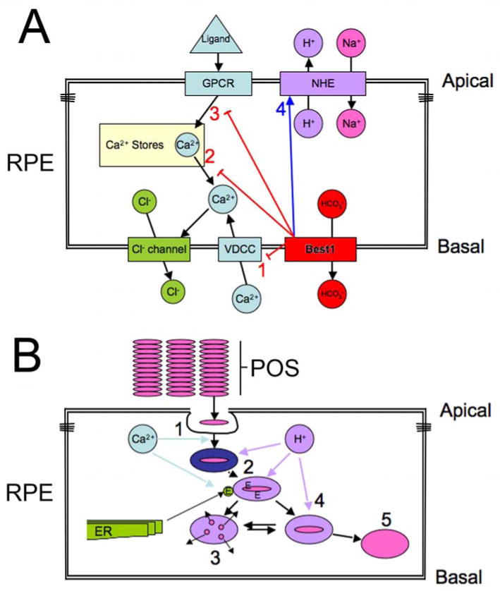 Figure 15