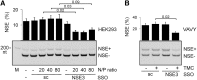 <b>FIG. 3.</b>