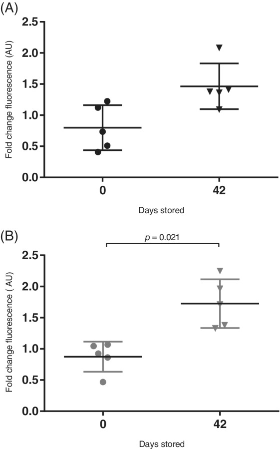 FIGURE 5