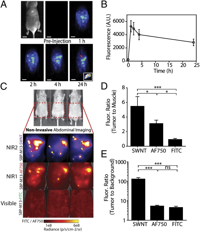 Fig. 2.