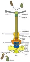 Fig. 2
