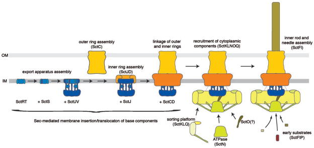 Fig. 4