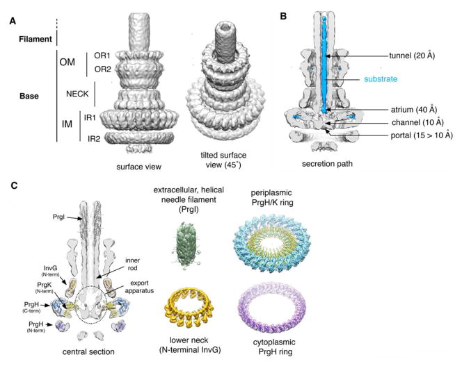 Fig. 1