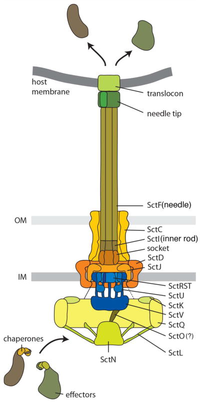 Fig. 2