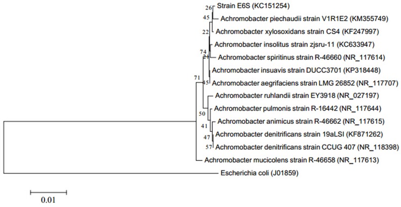 FIGURE 1