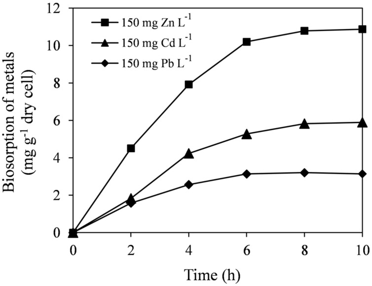 FIGURE 3