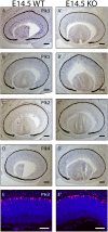 Fig 8