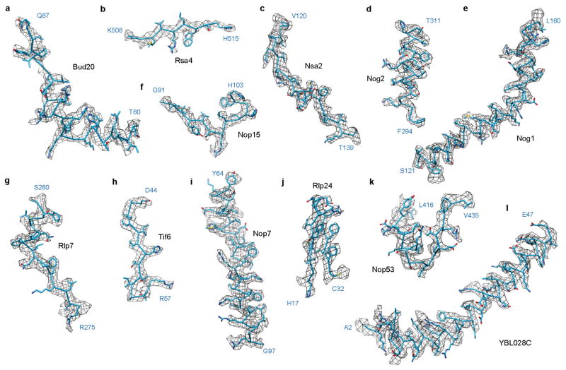 Extended Data Figure 4