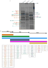 Extended Data Figure 1