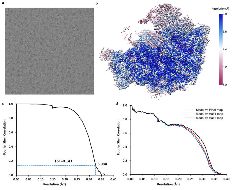 Extended Data Figure 3