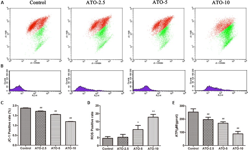 FIGURE 2