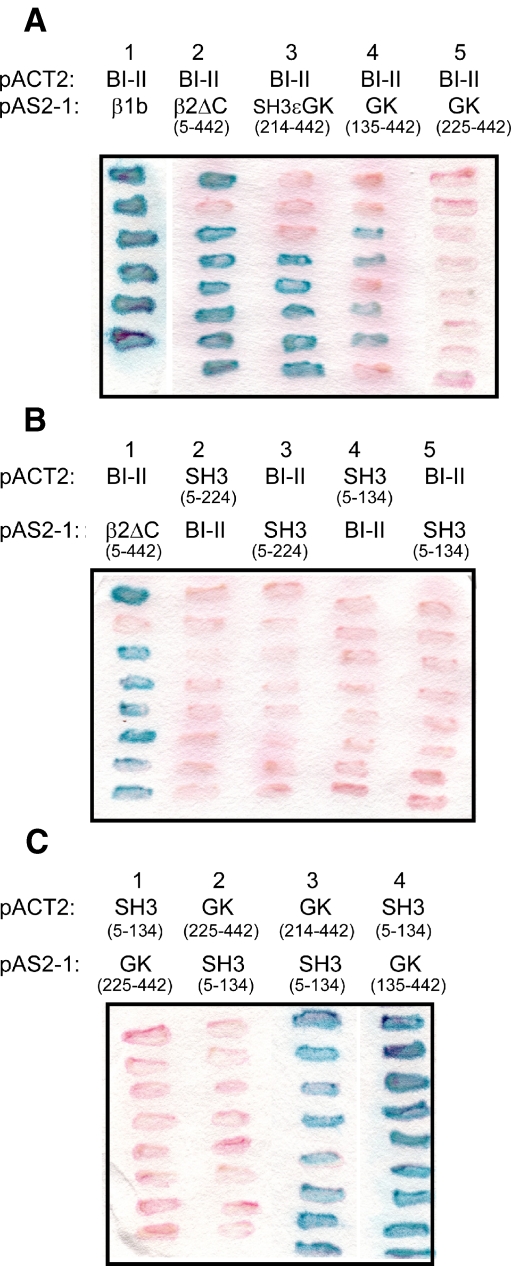 Fig. 6