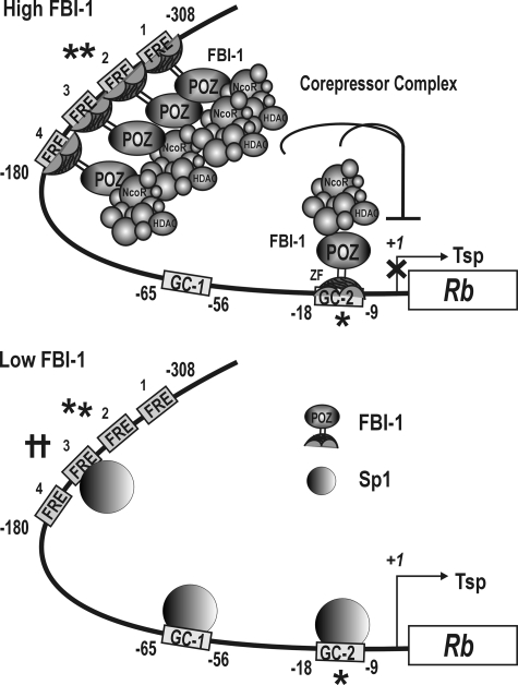 FIGURE 10.