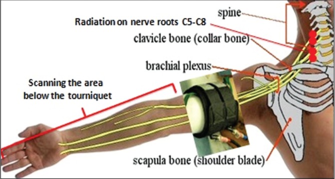 Figure 1)