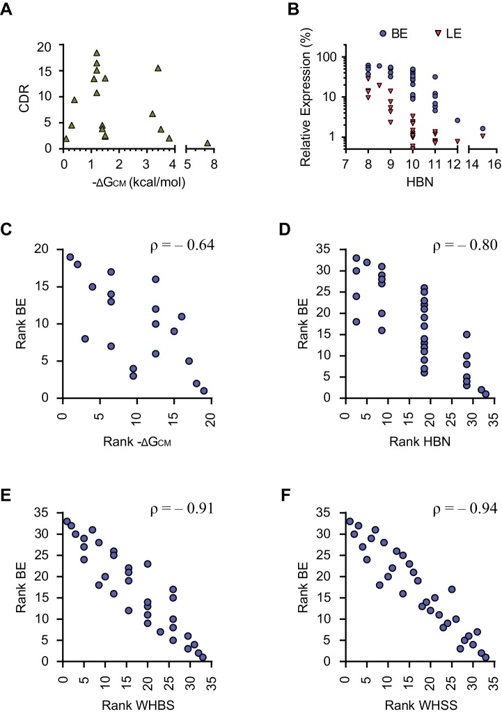 Figure 2—figure supplement 1.