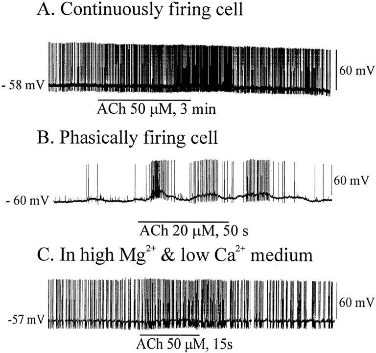 Fig. 9.