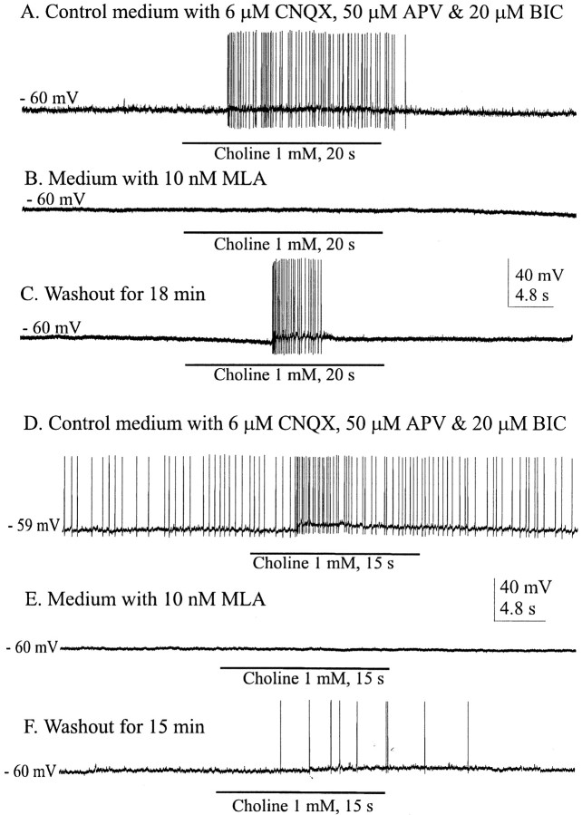 Fig. 11.