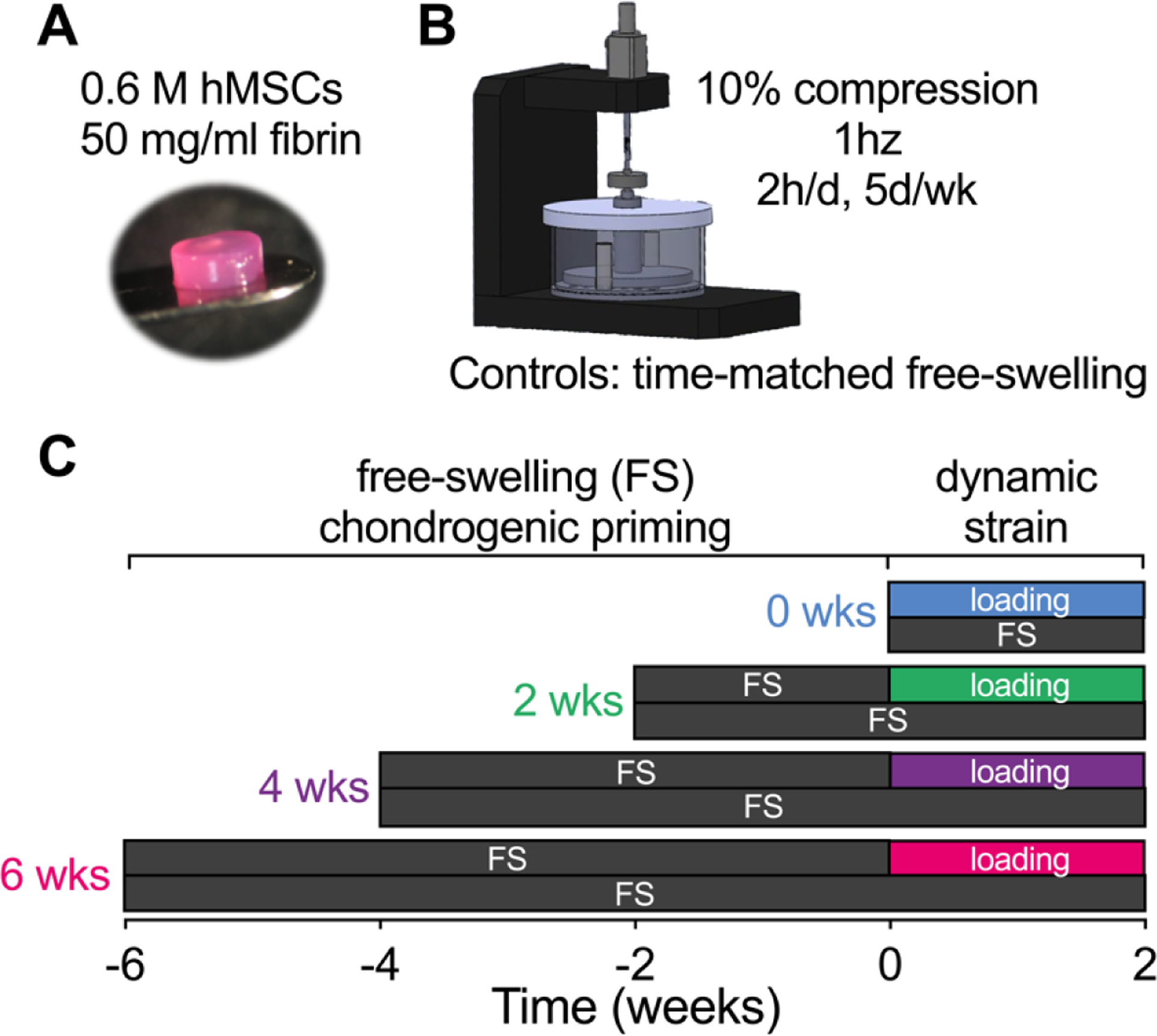 Figure 1: