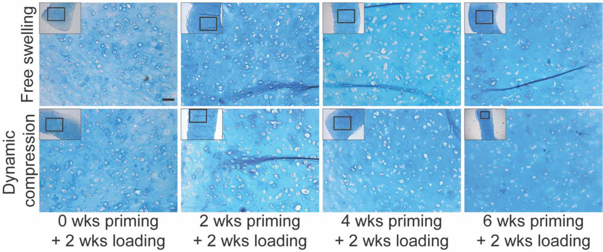 Figure 4: