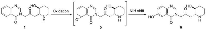 Scheme 2