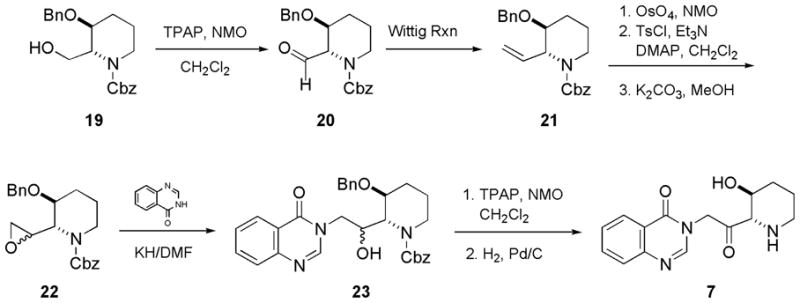 Scheme 3