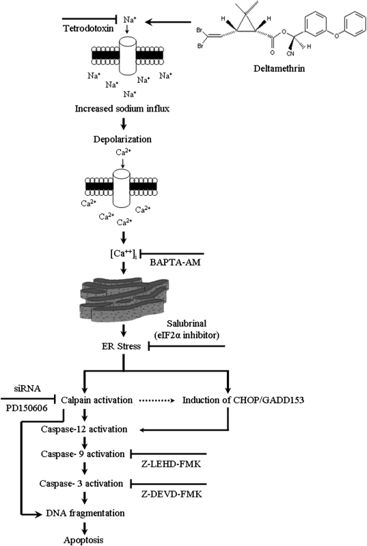 FIG. 8.