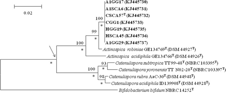 Fig. 1