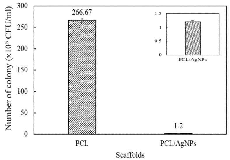 Figure 12