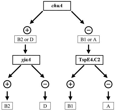 FIG. 1