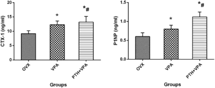 Figure 11