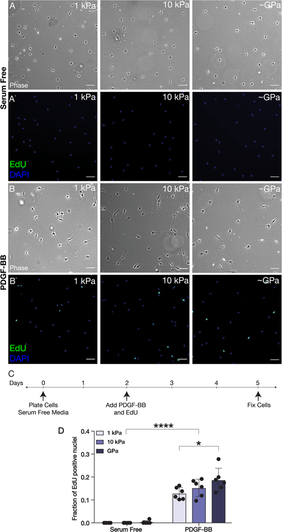 Fig. 2: