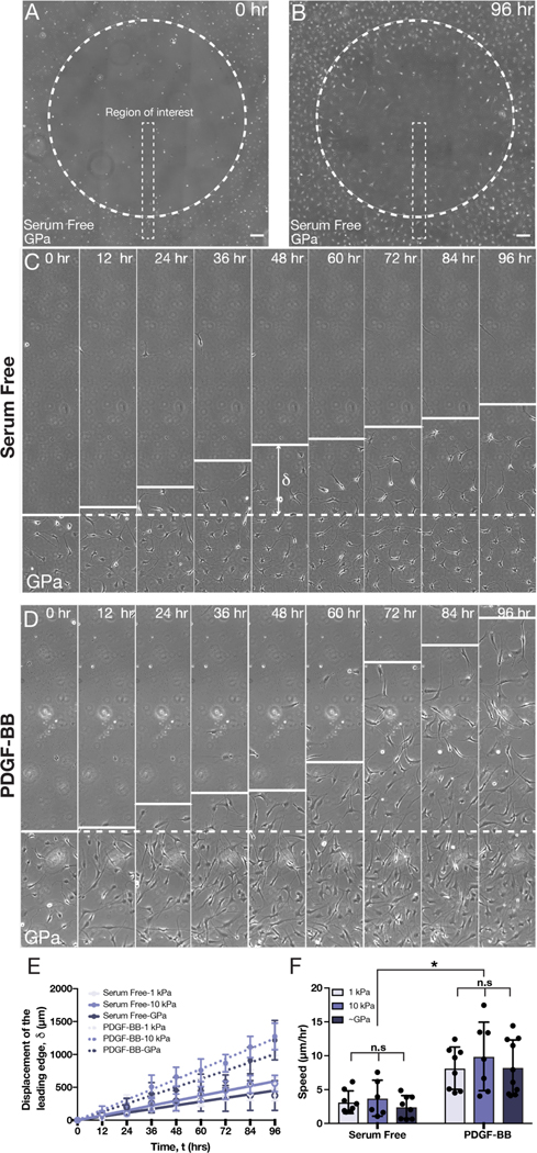 Fig. 5: