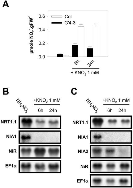 Figure 6.