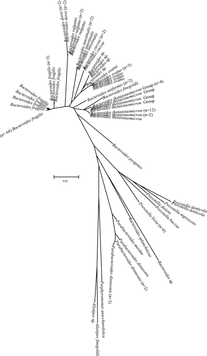 FIG. 2.