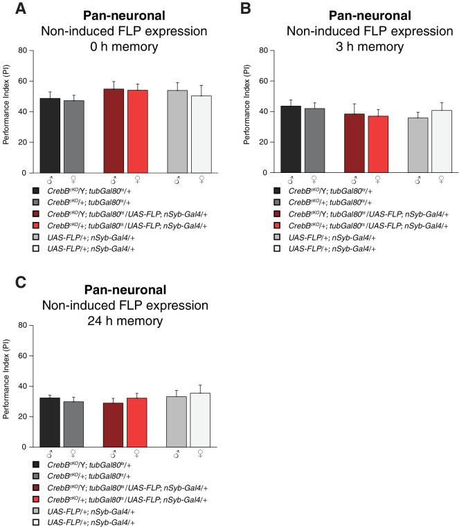 Figure 2—figure supplement 1.