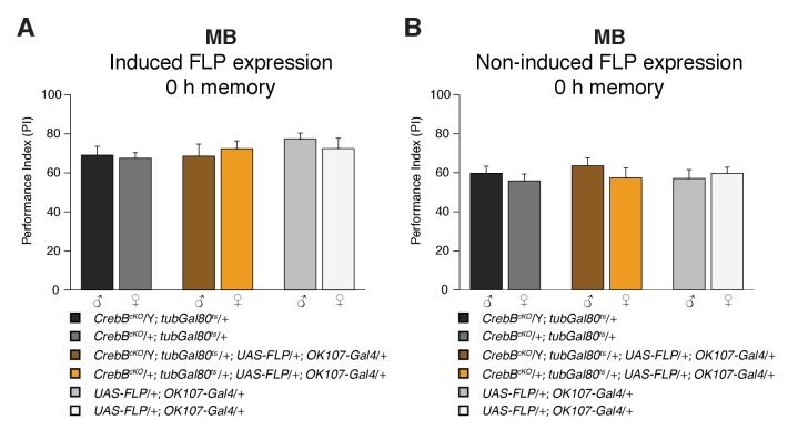 Figure 3—figure supplement 1.