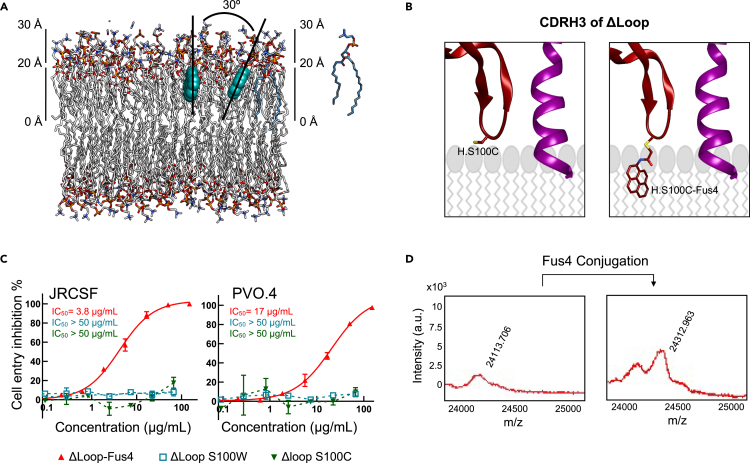 Figure 2