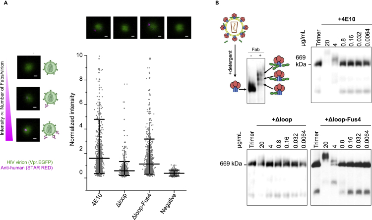 Figure 4