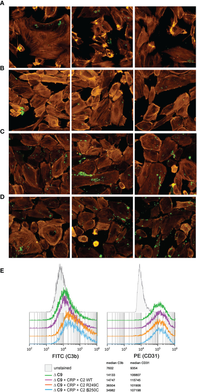 Figure 3