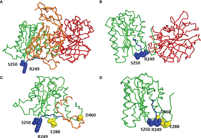 Figure 4