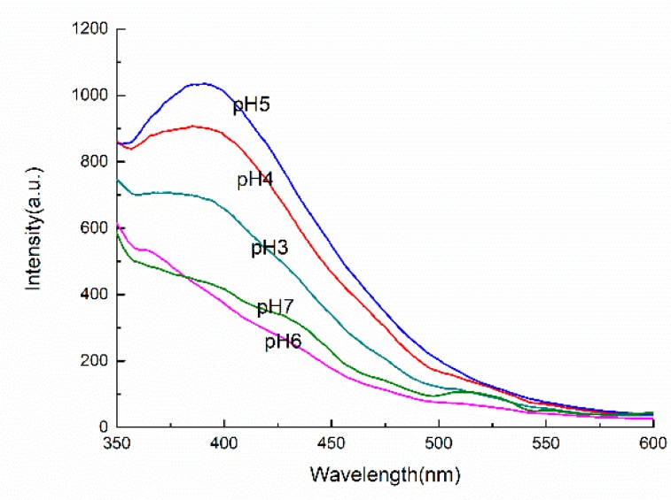 Figure 11