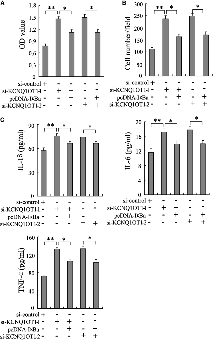 Figure 5