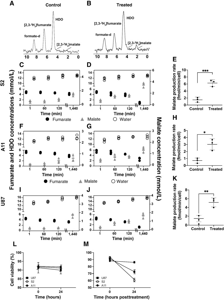 Figure 1. 2H NMR measurements of labeled fumarate, malate and water in cell culture medium. Representative 2H NMR spectra of medium from untreated S2 cells (A) and from cells 24 hours after the last chemo-radiotherapy treatment (5 Gy per fraction, 15 Gy in total and 50 μmol/L temozolomide), (B) 2 hours after the addition of 5 mmol/L [2,3-2H2]fumarate. Deuterated fumarate, malate and water concentrations in medium from untreated S2 (C), A11 (F), and U87 (I) cells and treated S2 (D), A11 (G), and U87 (J) cells at the indicated times after addition of 5 mmol/L [2,3–2H2]fumarate. Rates of labeled malate production in untreated and treated S2 [***, P = 0.0028; (E)], A11 [*, P = 0.0105; (H)], and U87 [**, P = 0.0075; (K)] cell suspensions (mean ± SD, n = 3 biological replicates). Cell viability was measured in control (L) and chemo-radiotherapy (M) treated S2, A11, and U87 cells at the indicated time points following collection of the media samples.