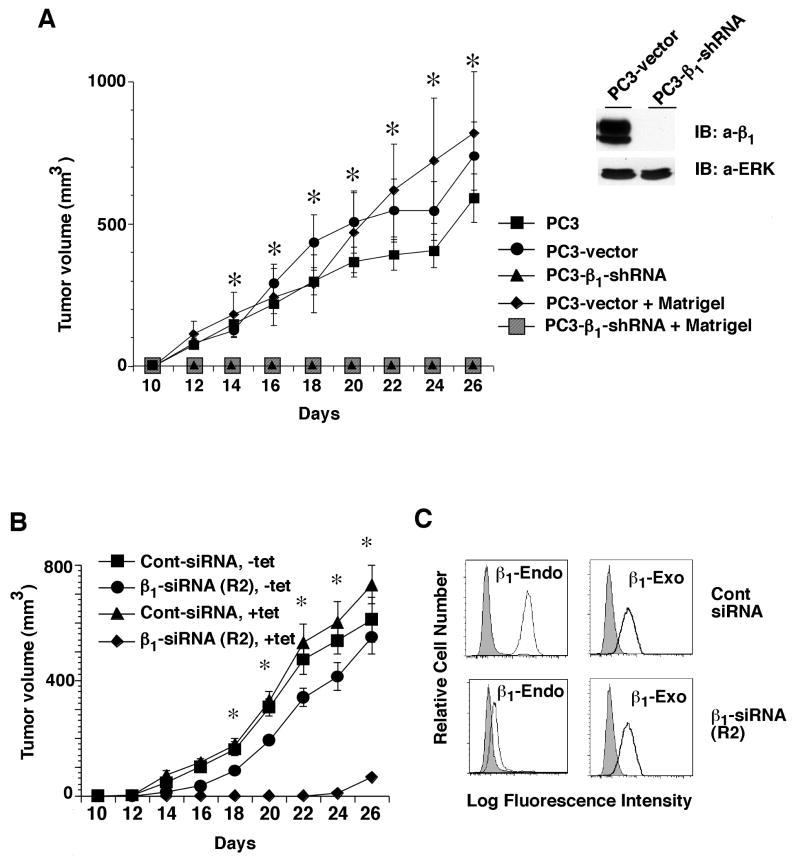 Figure. 1